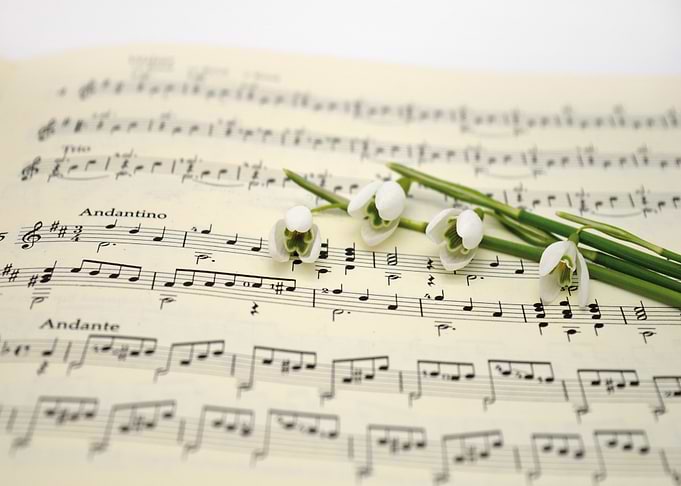 Snowdrops on Sheet Music