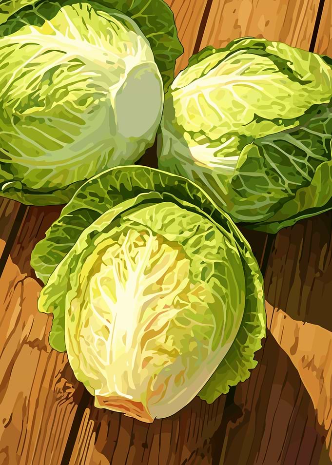Three Cabbages on Wooden Surface