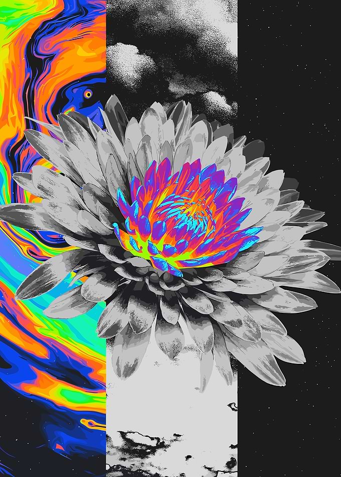 Abstract Floral with Psychedelic and Monochrome Elements