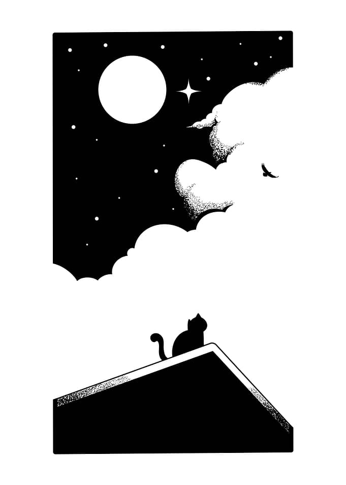 Silent Night