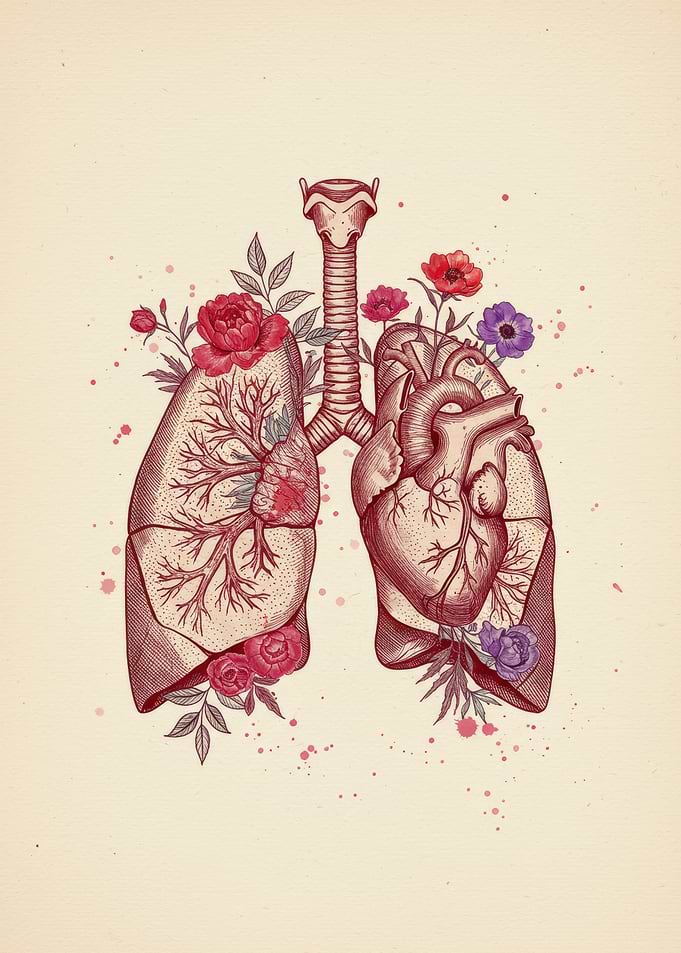Floral Anatomy Art Print