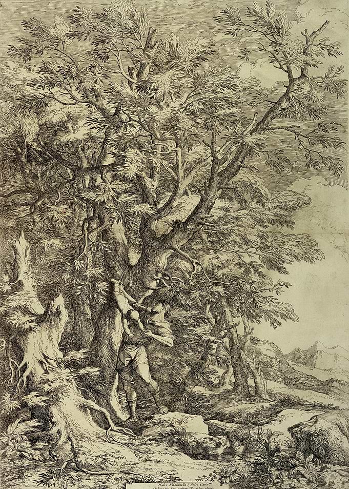 Antique Forest Scene Etching