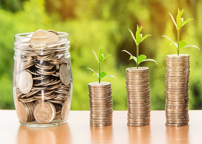Money Growth Concept with Coins and Plants