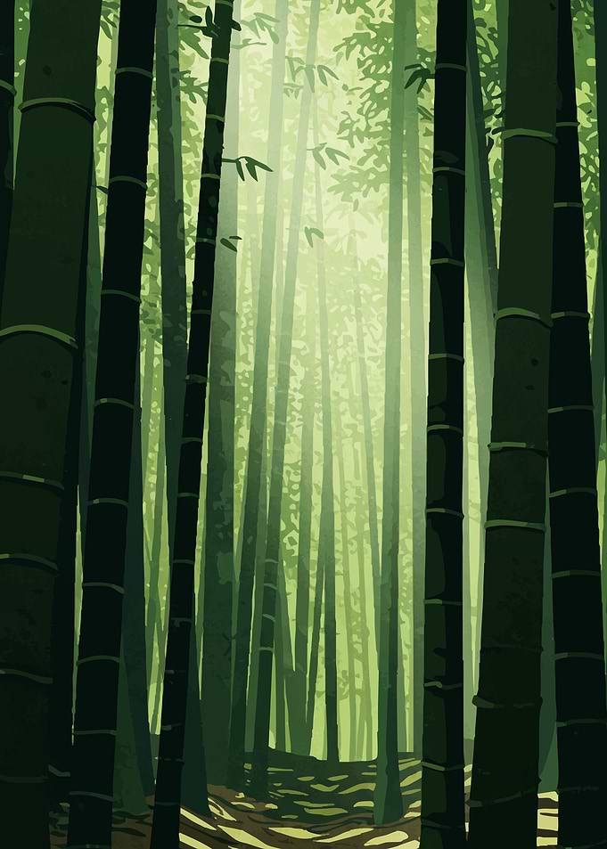Bamboo Forest Illustration