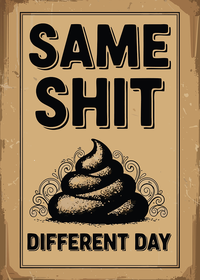 Same Shit Different Day Poster