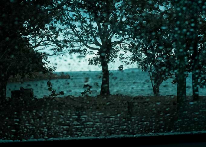 Rainy day