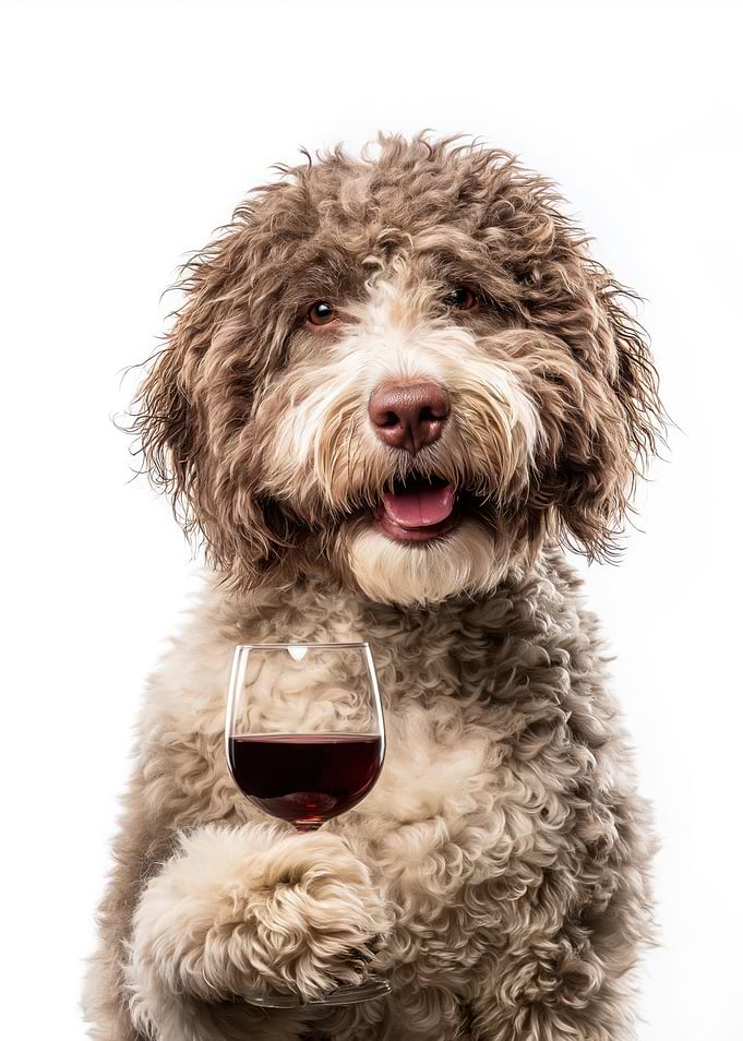 Barbet dog with Wine Glass Portrait
