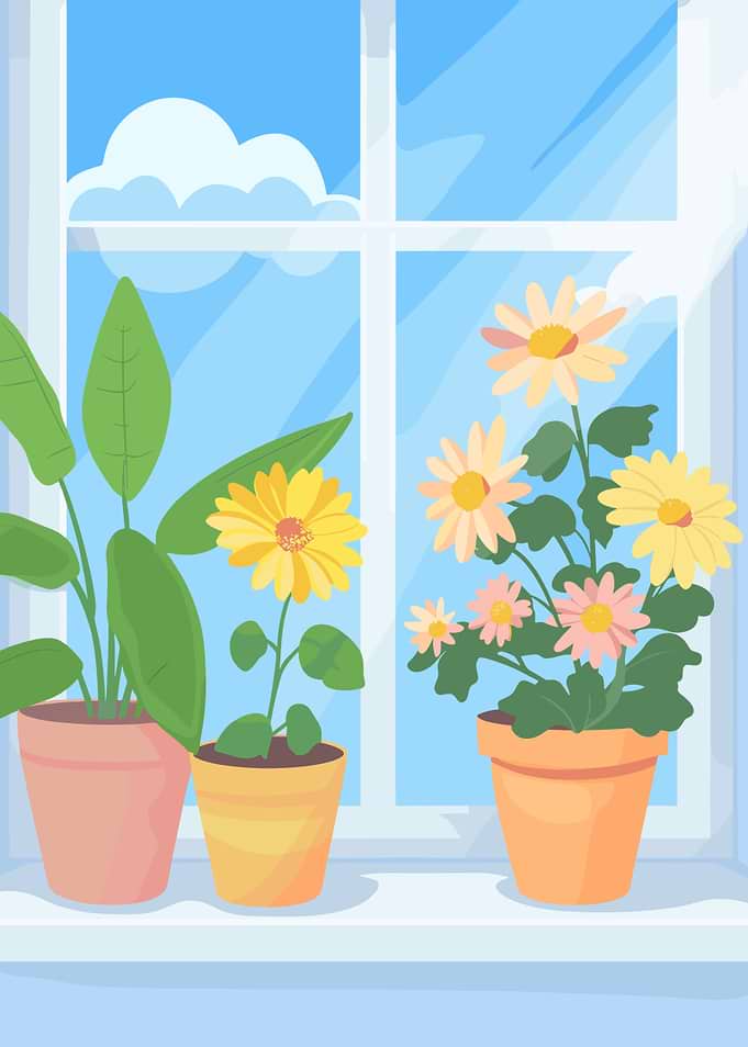 Potted plants on a windowsill illustration