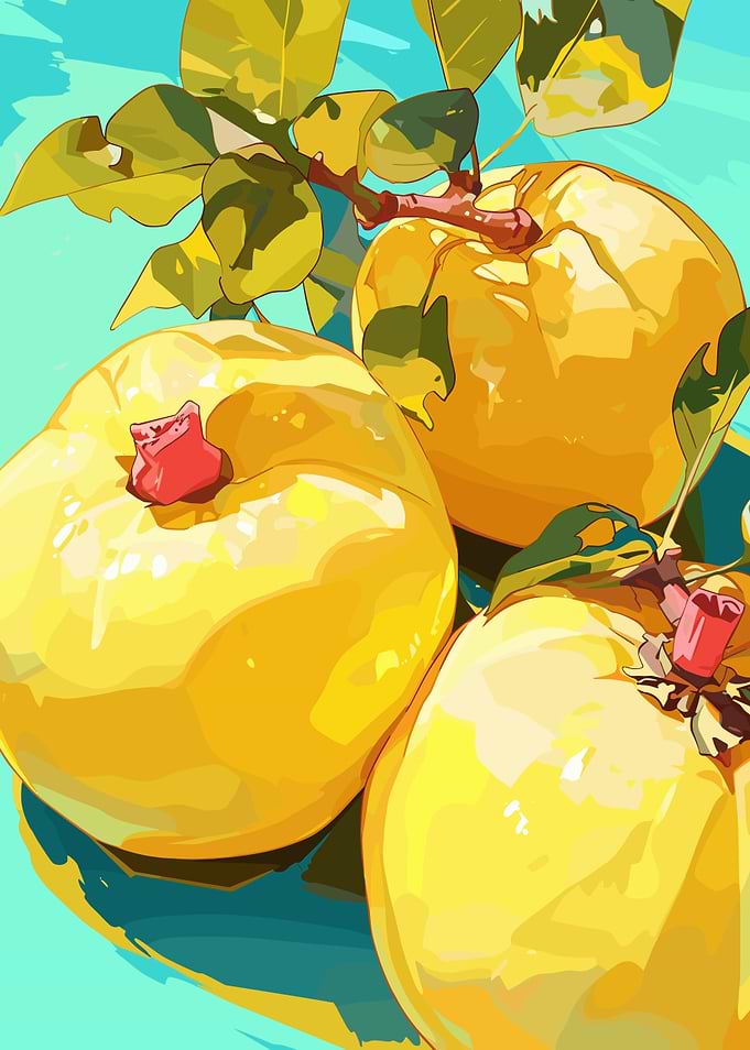 Quince Still Life