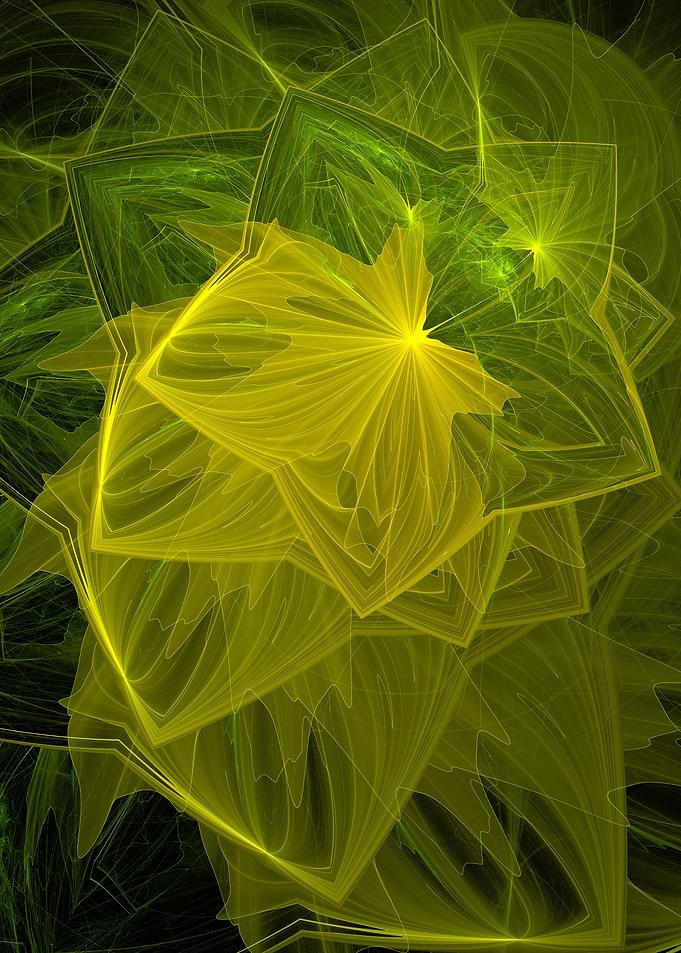 Star Leaves
