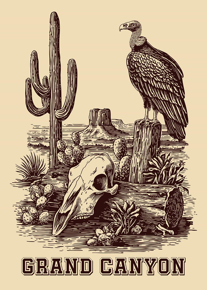 Grand Canyon Desert Wildlife Illustration