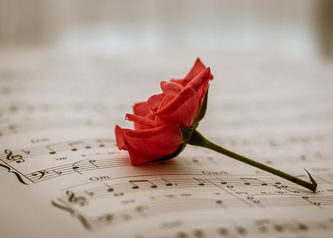 Rose on Sheet Music