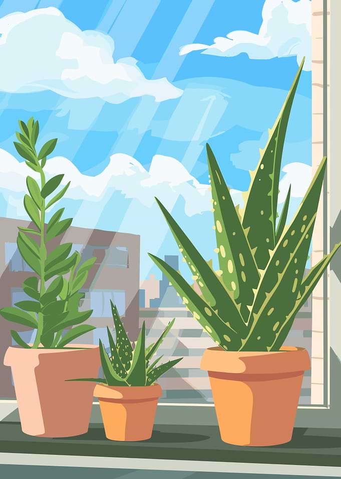 Potted Plants on Windowsill Illustration