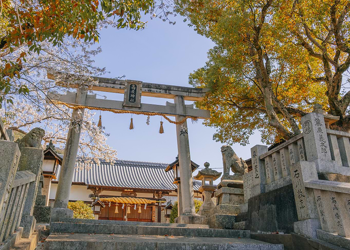 Japanese Shrine Entrance in Spring