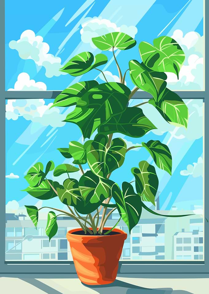 Plant by the window illustration