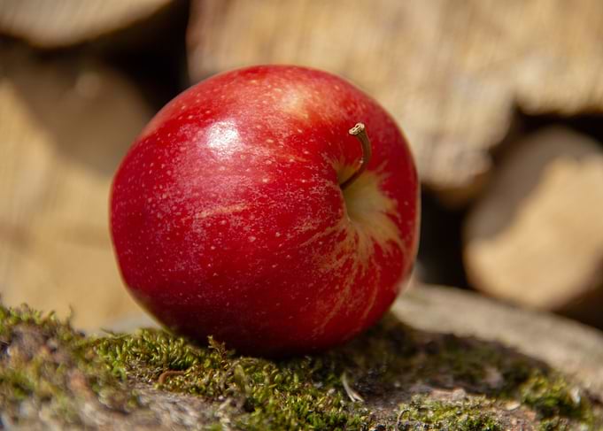 Red Apple on Mossy Wood