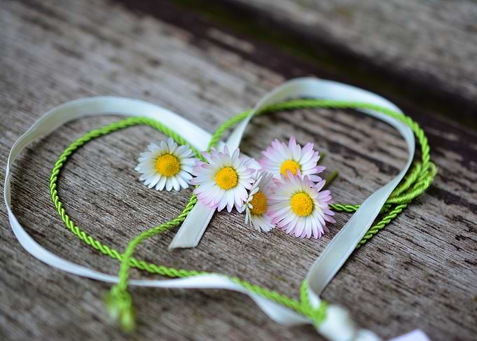 Daisy Heart with Ribbon and String