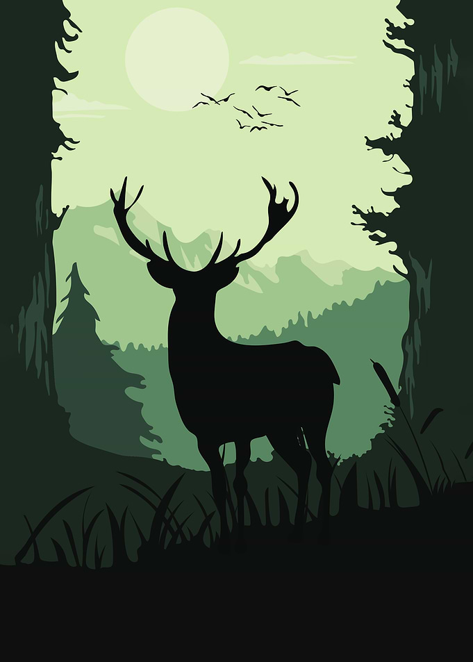 Deer Silhouette in Forest Landscape