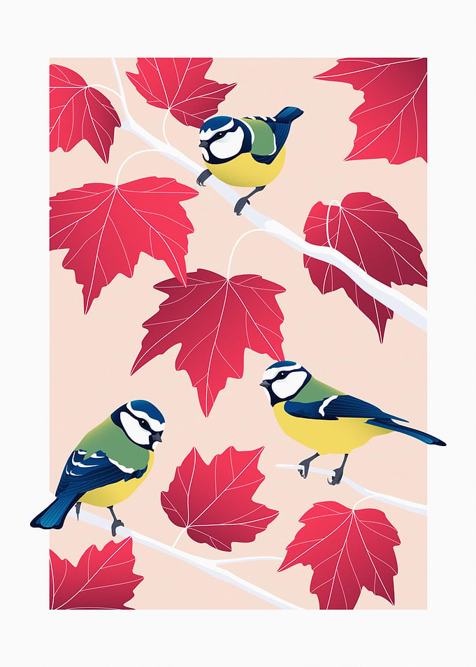 Blue Tits on Red Maple Tree Branches