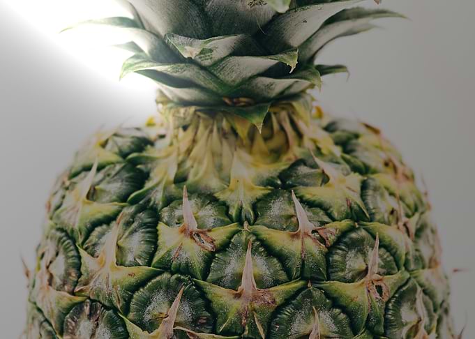 Close-up of a fresh pineapple