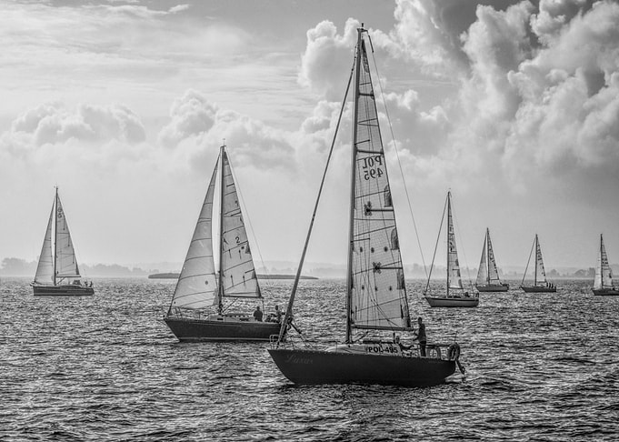 Sailboats on the Water in Black and White