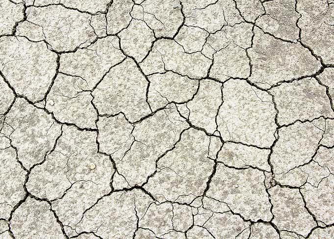Cracked Earth Texture