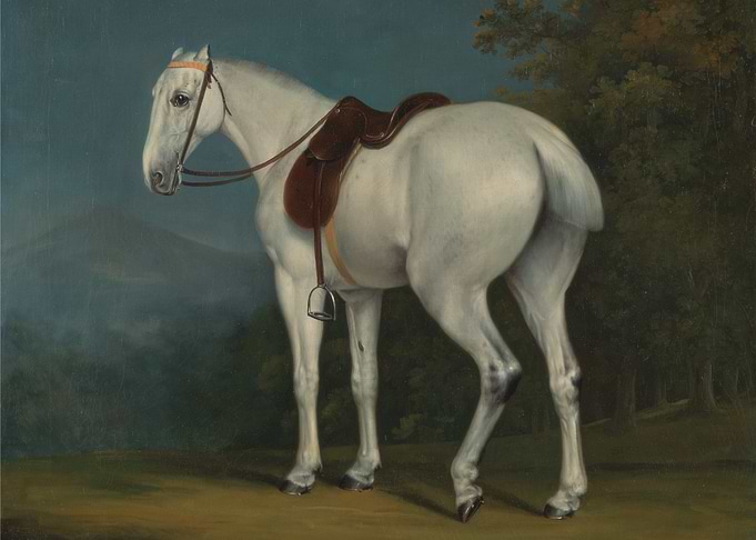 White Horse with Saddle Painting