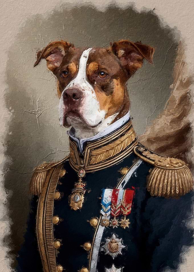 Dog Portrait in Military Uniform