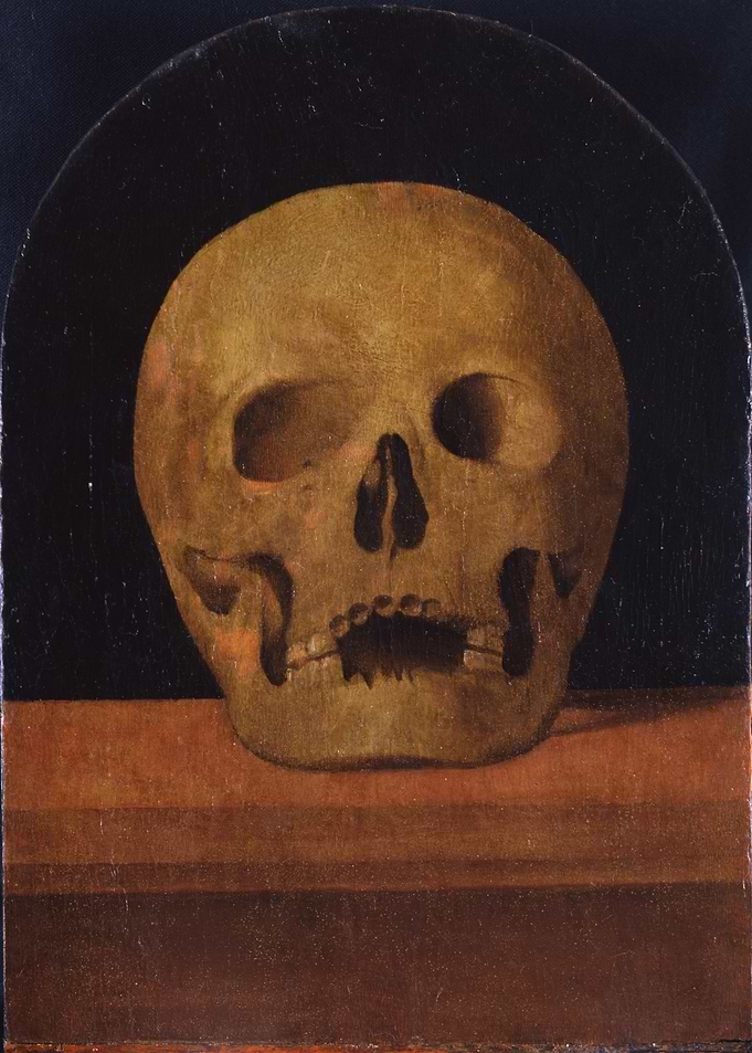 Skull Still Life Painting