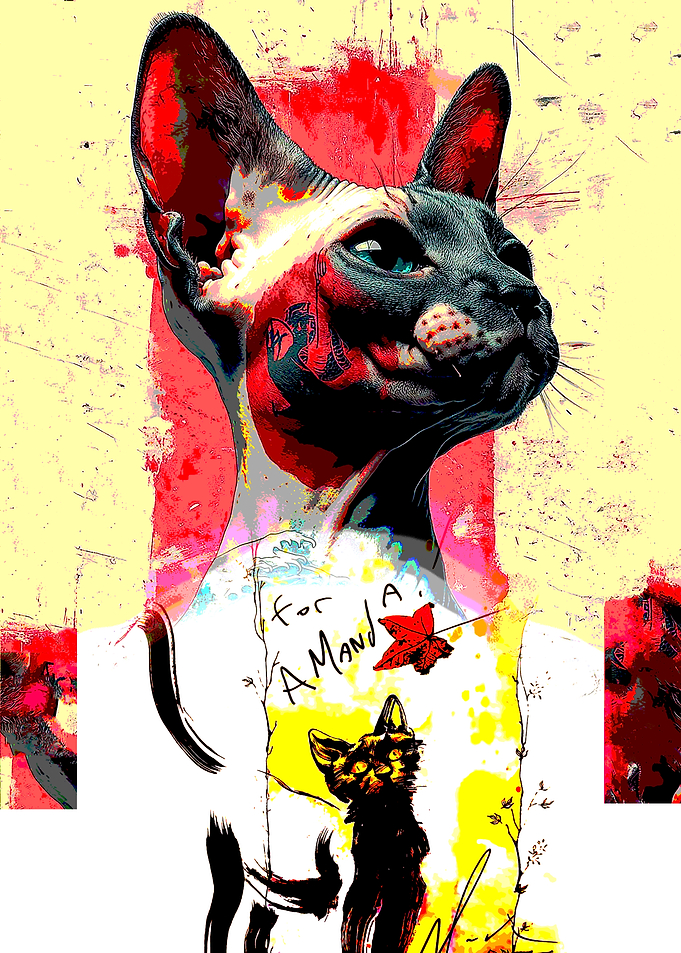 Cat Portrait for Amanda