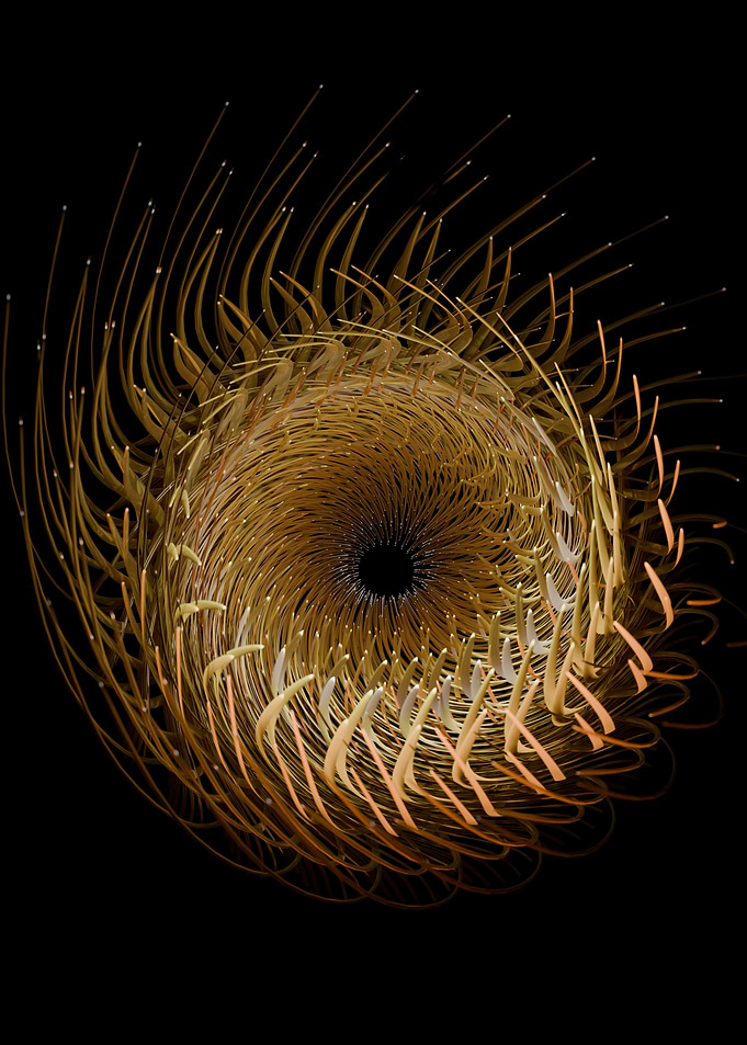 Abstract Golden Swirl on Black Background