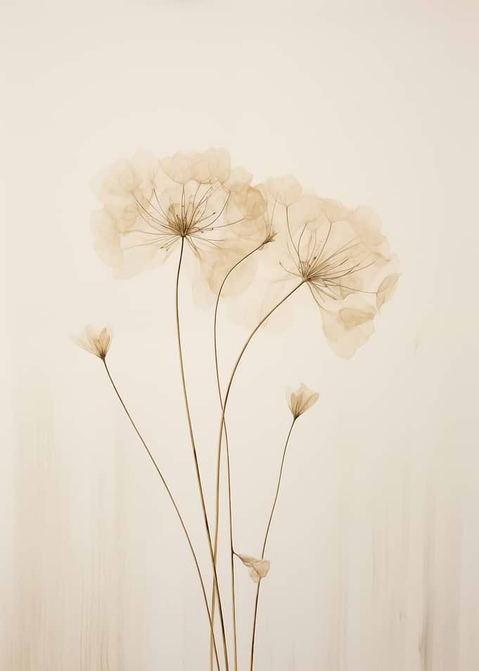 Floral Delicate Flowers