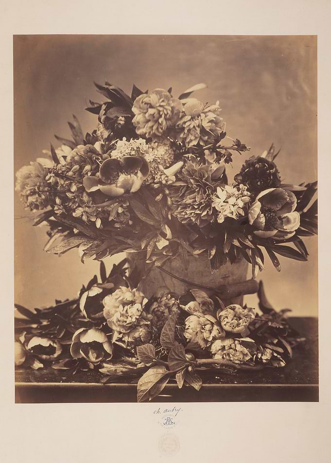 Vintage Floral Still Life Photograph