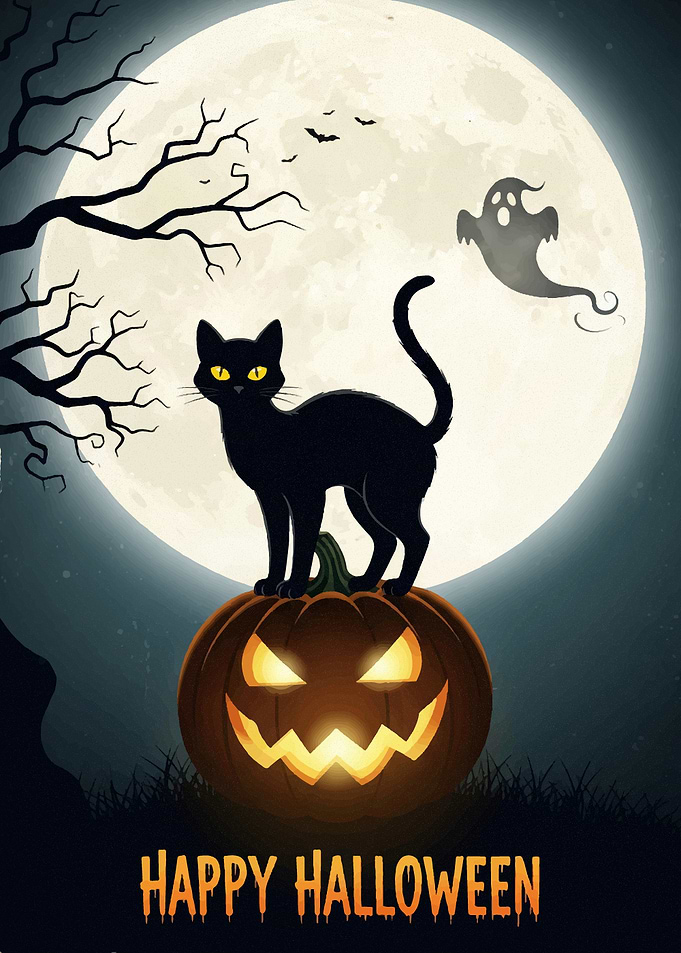 Halloween Night: Black Cat and Pumpkin Halloween2025