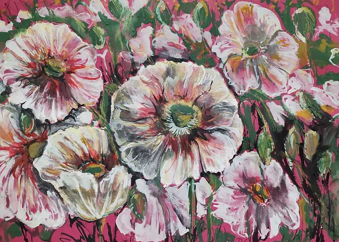 White poppy Flowers
