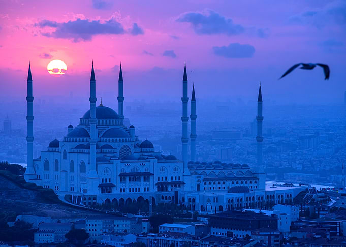 mosque at sunset with bird