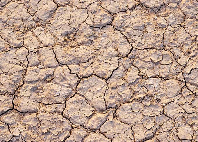 Cracked Earth Texture