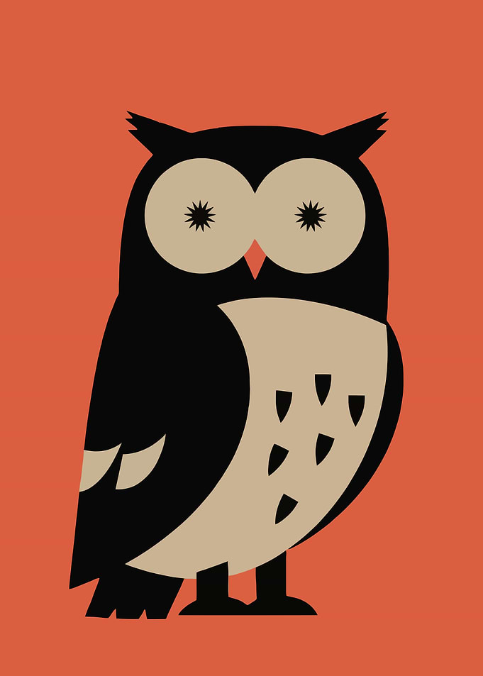 Stylized Owl Illustration on Orange Background