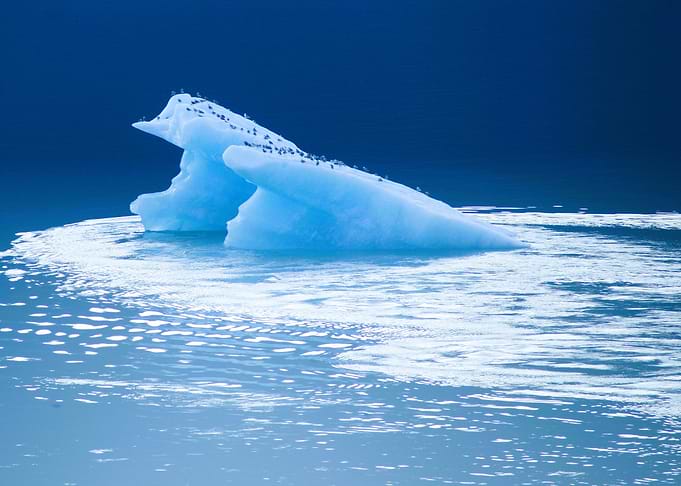 Iceberg with Birds in Blue Water