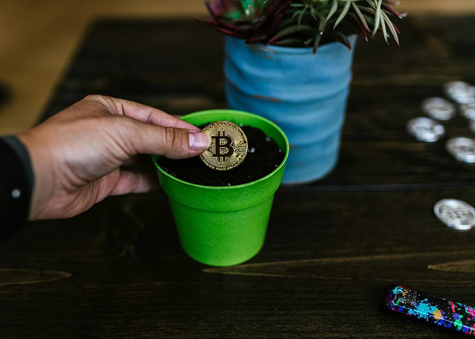 Bitcoin Growing in a Pot