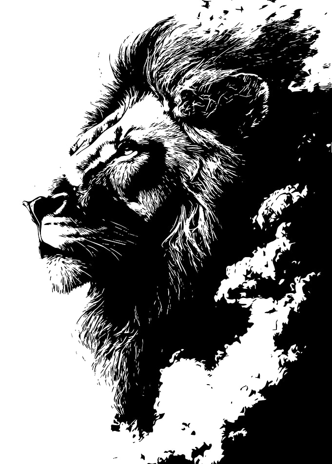 Lion Portrait in Black and White