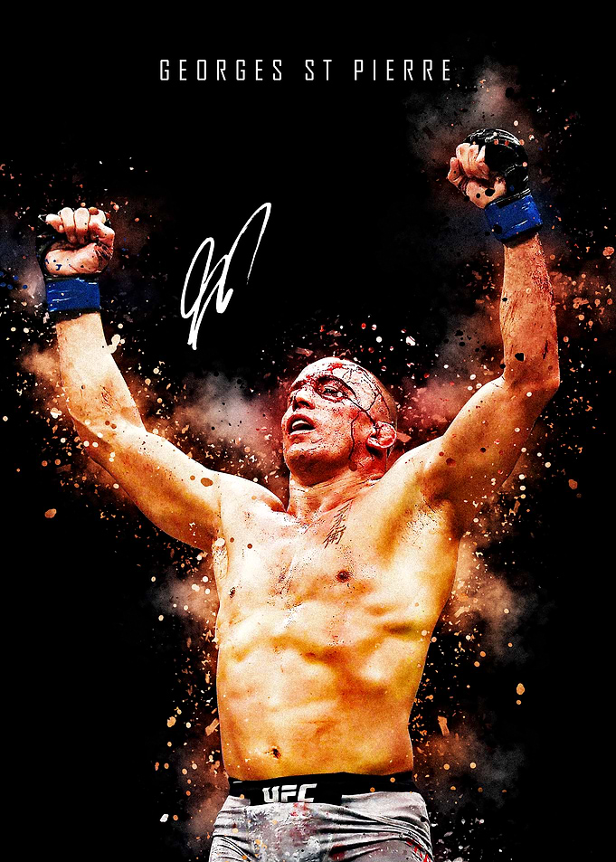 Georges St Pierre UFC Victory