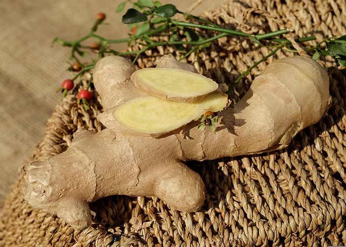 Fresh Ginger Root Still Life