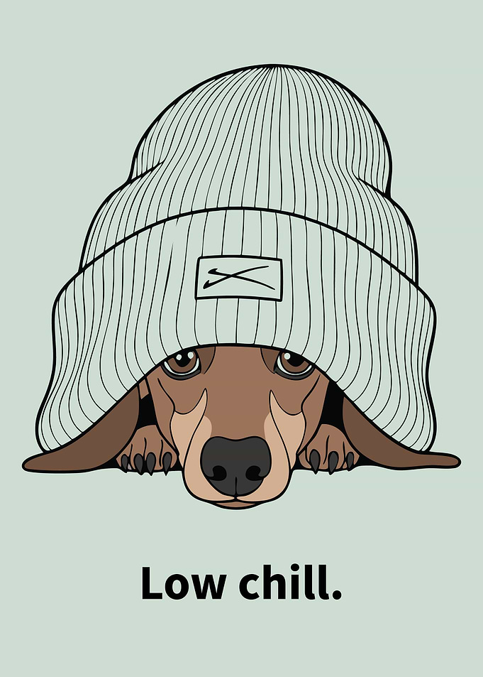 Dachshund with Beanie - Low Chill