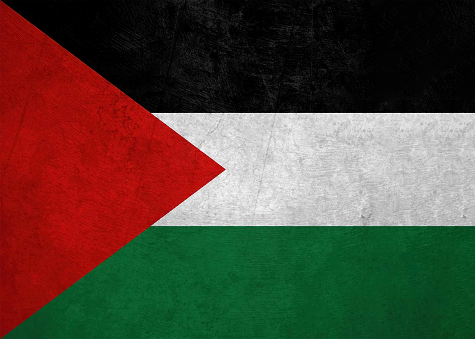 palestine flag with grunge texture
