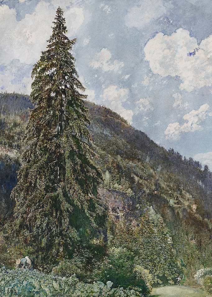 Landscape painting with tall fir tree