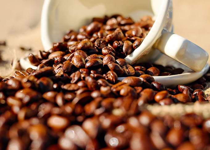 Coffee Beans Spill from White Cup