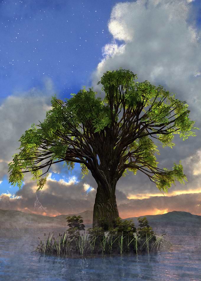 Tree on Island in Lake