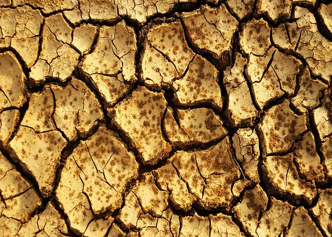 Cracked Earth Texture