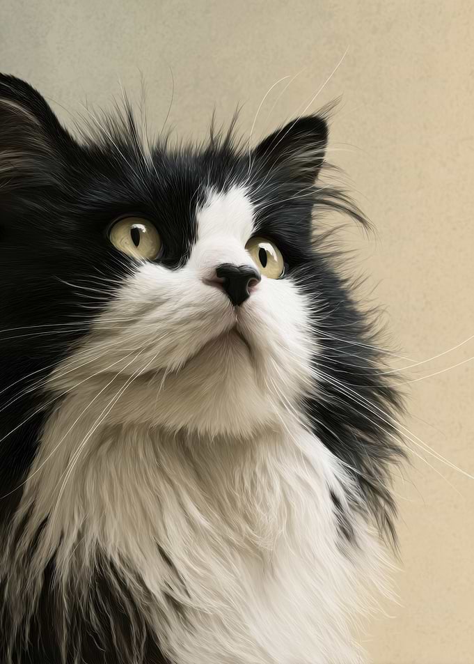 Black and White Cat Portrait
